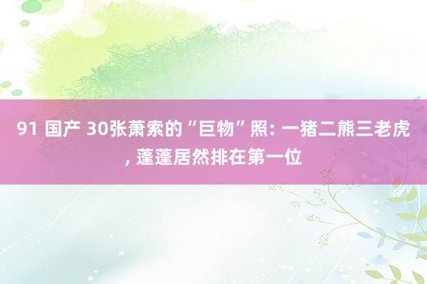 91 国产 30张萧索的“巨物”照: 一猪二熊三老虎， 蓬蓬居然排在第一位