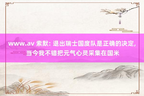 www.av 索默: 退出瑞士国度队是正确的决定， 当今我不错把元气心灵采集在国米