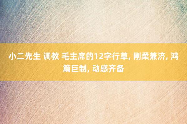 小二先生 调教 毛主席的12字行草， 刚柔兼济， 鸿篇巨制， 动感齐备