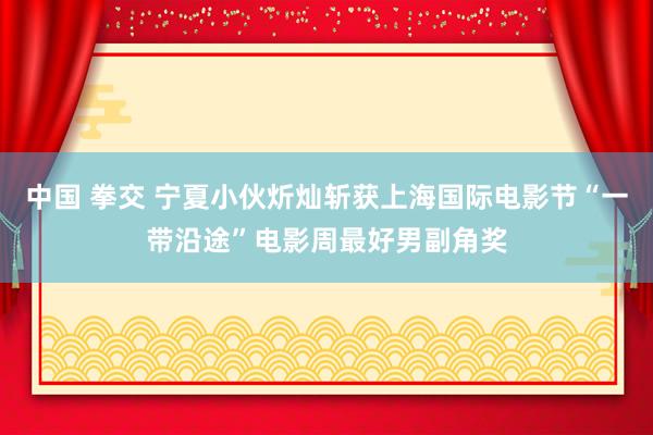 中国 拳交 宁夏小伙炘灿斩获上海国际电影节“一带沿途”电影周最好男副角奖